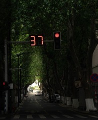 F6D31DDA-BA9B-44B8-83DC-12FB67F07875/L0/001