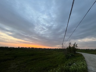 31D2A3A8-448B-4F3E-89E5-3CD57B84B737/L0/001