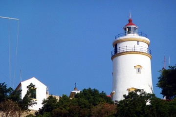 P1030618.jpg