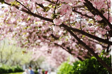 _MG_1197.JPG