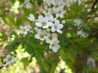 DSC00008.JPG