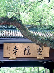 5555EEF2-942F-4C4F-9D3D-9B3CC9BD1A57/L0/001