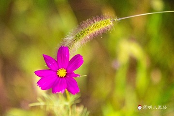 03557DE5-7589-4D9A-B6F1-142ACBCFD56F/L0/001