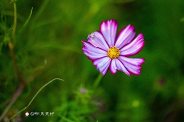 0FF4B8EC-2AAB-4824-98AC-972D08BCDF4B/L0/001