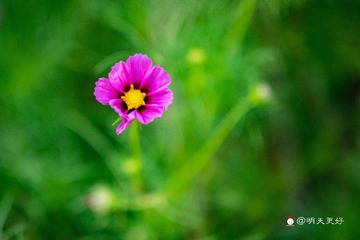 F04A2150-33F4-495A-952B-A5DAAA0ECF30/L0/001