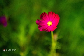 38C59EBE-B9FB-40D6-ADE1-3D3C14F6C914/L0/001