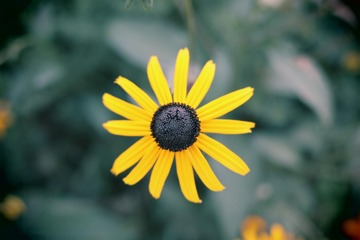 434665