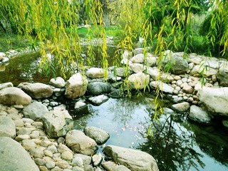 DSCF2042_副本.jpg