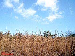 黑龙潭10..jpg