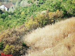 黑龙潭11..jpg
