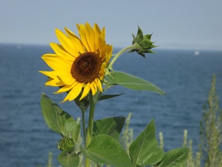 DSCF7861.JPG