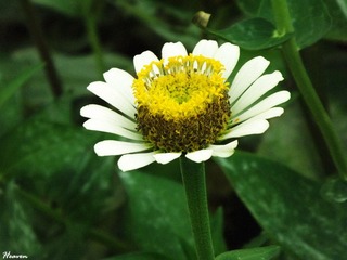 DSCF8225_副本.jpg