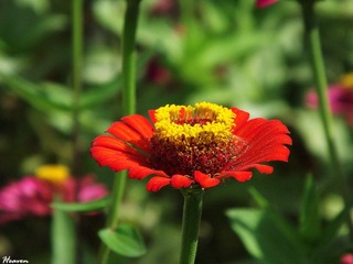 DSCF8228_副本.jpg