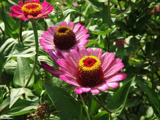 DSCF8257_副本.jpg