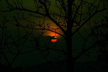 58302AC9-8D39-443D-8CF9-5BFA152A7BEF/L0/001