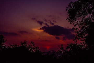 C2D9AD2B-0AAC-44D8-85BF-05747F023159/L0/001