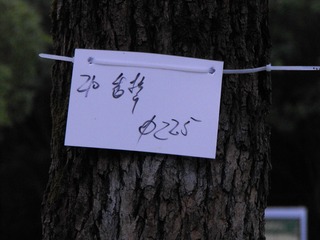 528508