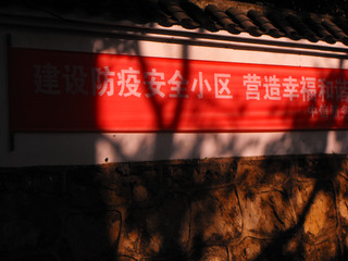 558402