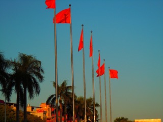 622D5D39-4F87-4B4A-BF25-F6AE698849BC/L0/001