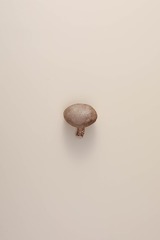 B02EF0E4-DE23-4B8B-93F6-94301EBDC44F/L0/001