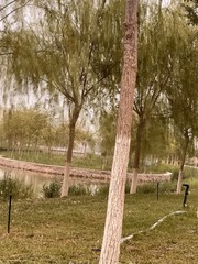 008AD6AD-F702-42CF-B51B-D2CC76A38DD6/L0/001
