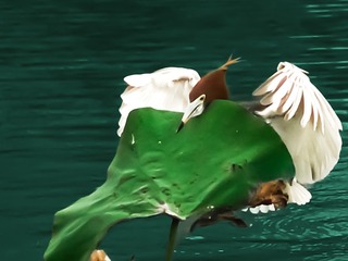 71914
