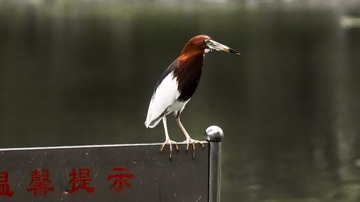71909