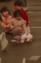 61557