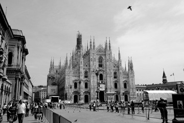 IMG_9576.JPG
