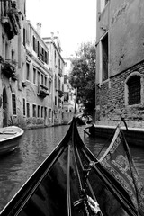 IMG_9631.JPG