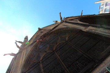 IMG_8961.JPG