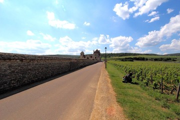 IMG_9215.JPG