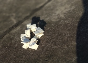 5542341