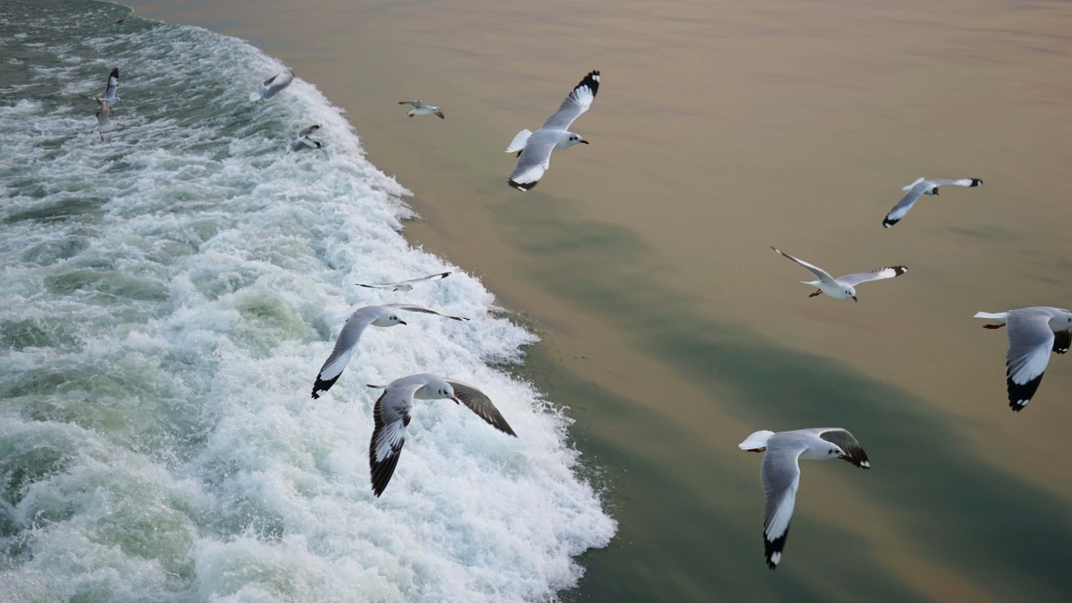 穿越- tc天马行空 - 图虫