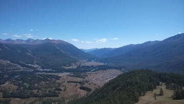 31647