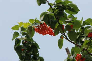 IMG_0117.JPG
