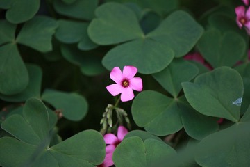 IMG_0124.JPG