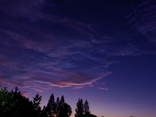 82133C07-5F79-41B9-91E7-925BDD780B1A/L0/001