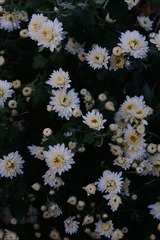 81C563BF-33E9-4C9D-9A25-50447A24CDC7/L0/001