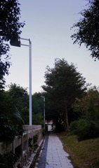 2881176