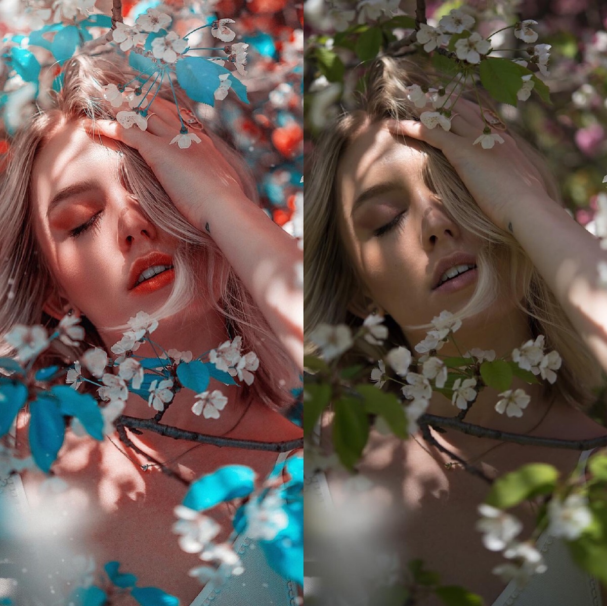 都说七分摄影三分后期一组作品后期调色前后对比感受