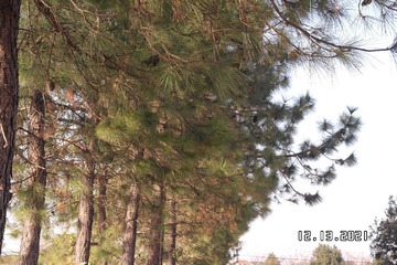 92210BD1-4FD0-413D-8F45-14049EE9231D/L0/001