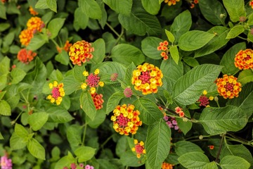 05D5B694-B6DA-4B49-8F25-23BC09174BCB/L0/001
