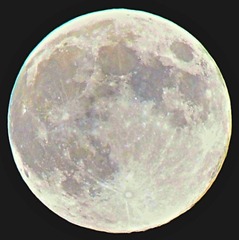 LJS_6290.jpg