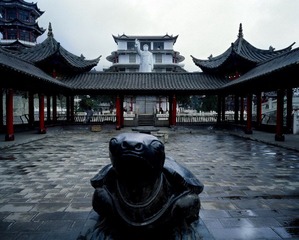 MAO901.JPG
