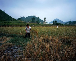 MAO890.JPG
