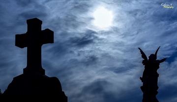 IMG_0059.jpg
