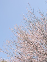 531808AF-FB83-482D-B81E-4BC8B9607243/L0/001