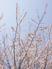 E271CB48-E48F-43A9-835F-1E9E75C07BD5/L0/001