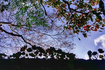 3F03B4E3-D3CF-4F23-A97E-03F0D952E113/L0/001